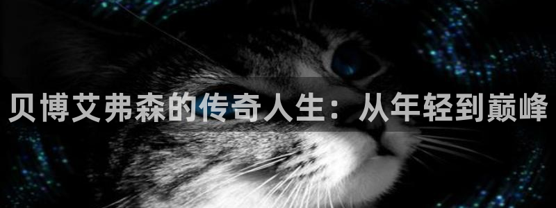 彩易通官网