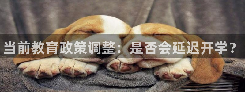 彩易通选号工具