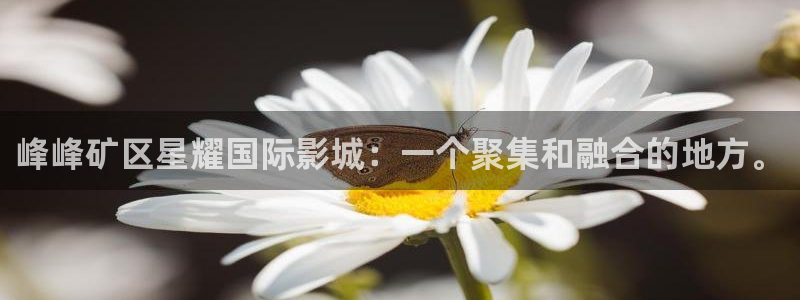 彩易通下载