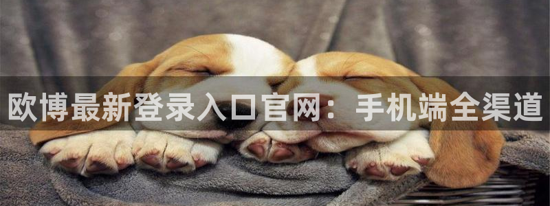 彩易通官网