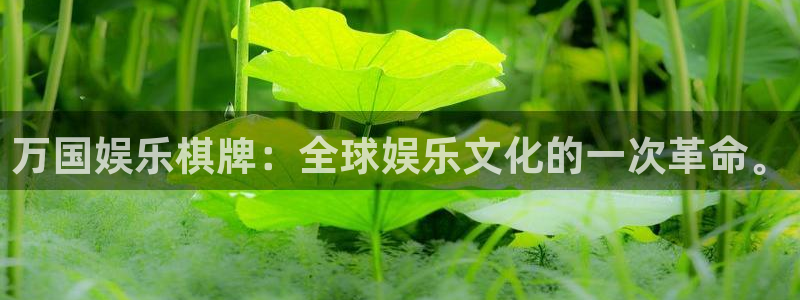 彩易通选号工具