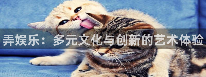 彩易通