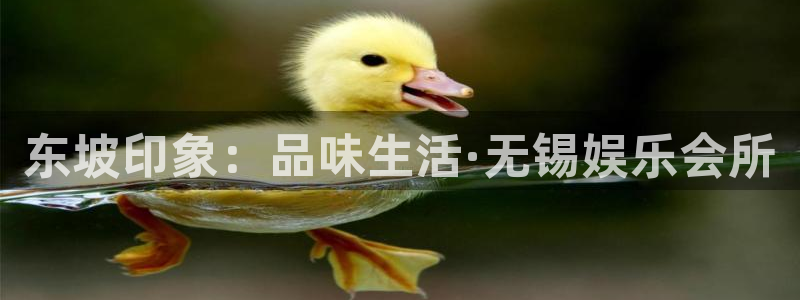 彩易通下载