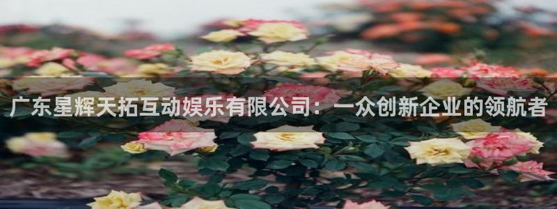 彩易通app下载