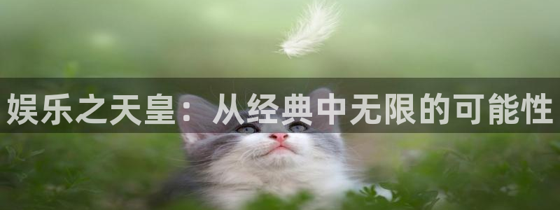 彩易通选号工具