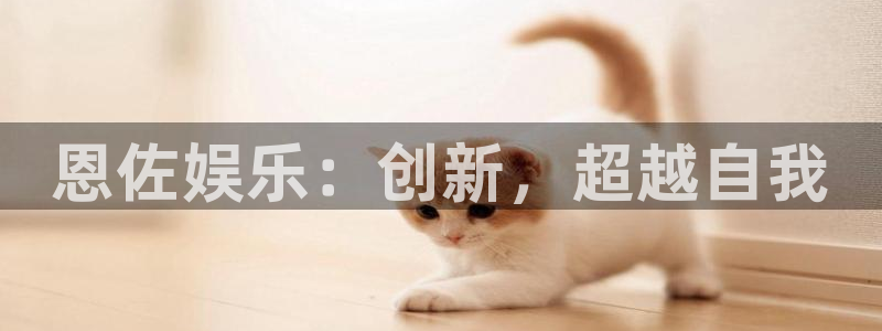 彩易通手机版官网：恩佐娱乐：创新，超越自我