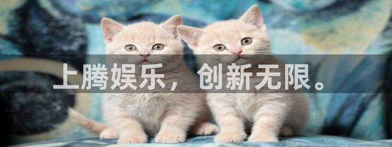彩易通手机版官网：上腾娱乐，创新无限。