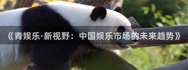 彩易通：《青娱乐·新视野：中国娱乐市场的未来趋势》
