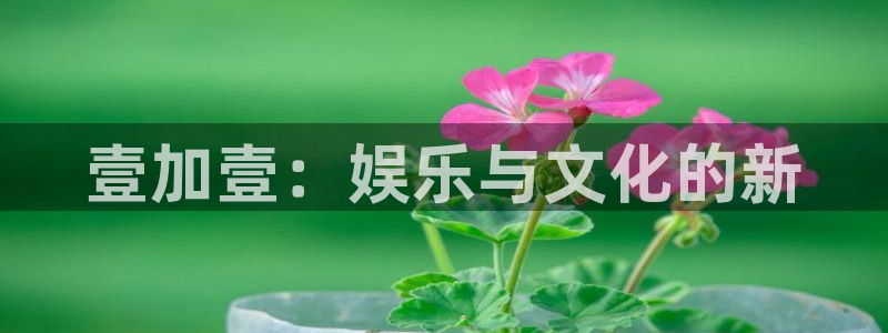 彩易通手机版官网：壹加壹：娱乐与文化的新