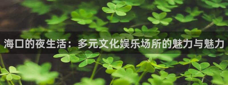 彩易通官网：海口的夜生活：多元文化娱乐场所的魅力与魅力