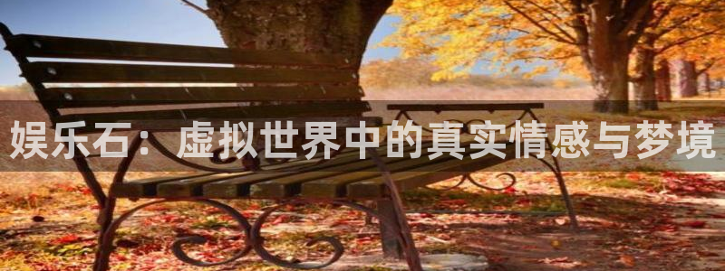 彩易通官网：娱乐石：虚拟世界中的真实情感与梦境