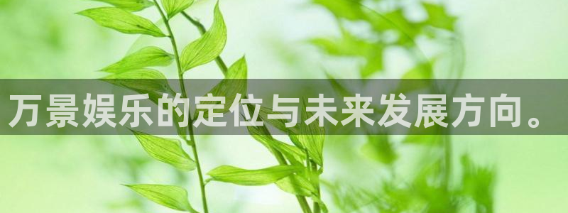 彩易通选号工具：万景娱乐的定位与未来发展方向。