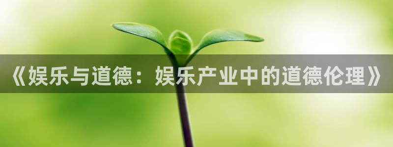 彩易通选号工具：《娱乐与道德：娱乐产业中的道德伦理》