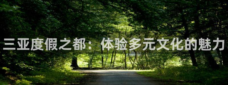 彩易通app下载：三亚度假之都：体验多元文化的魅力