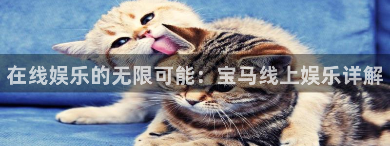 彩易通手机版官网：在线娱乐的无限可能：宝马线上娱乐详解