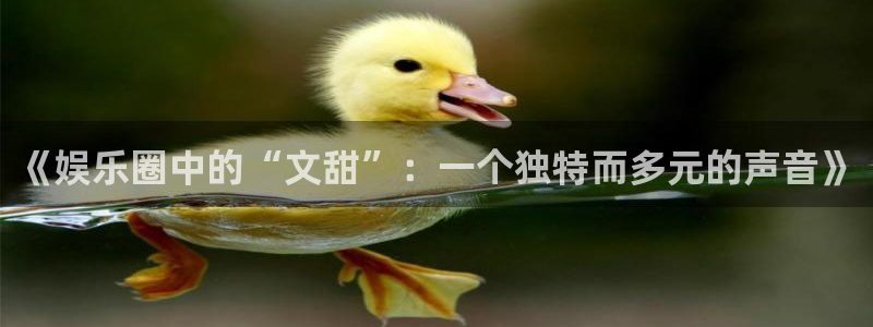 彩易通下载：《娱乐圈中的“文甜”：一个独特而多元的声音》