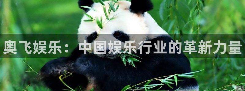 彩易通手机版官网：奥飞娱乐：中国娱乐行业的革新力量