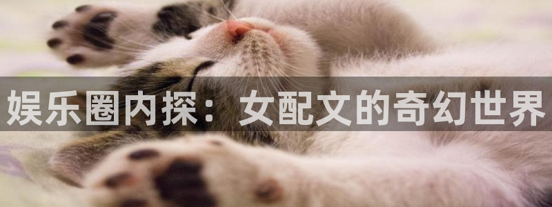 彩易通下载：娱乐圈内探：女配文的奇幻世界